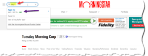 Main Screen of Morningstar to Enter Apple Stock